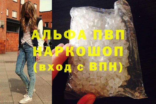 ешки Бородино
