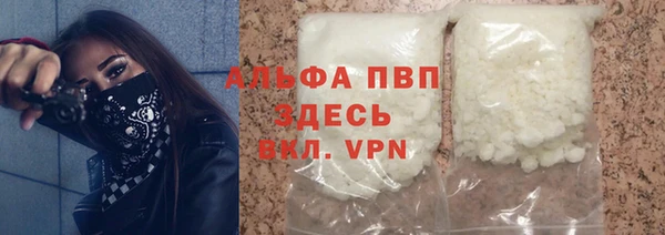 индика Верхний Тагил