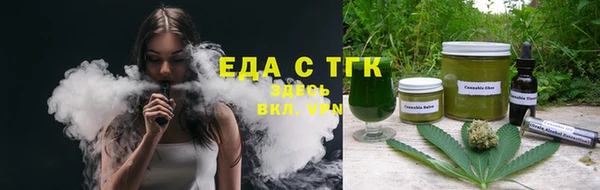 индика Верхний Тагил