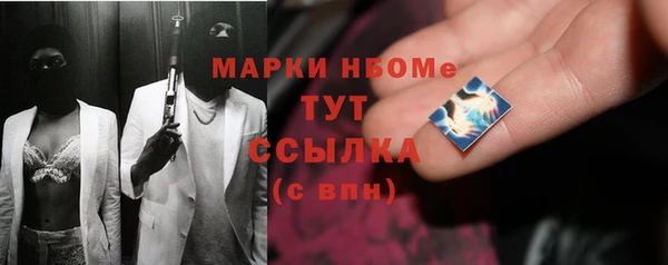 ешки Бородино