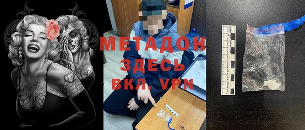 индика Верхний Тагил