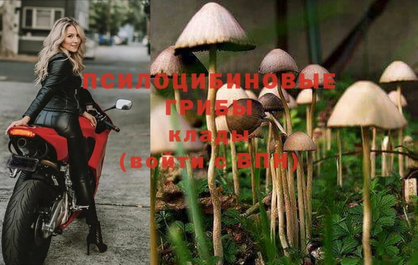 молекула духа Верея