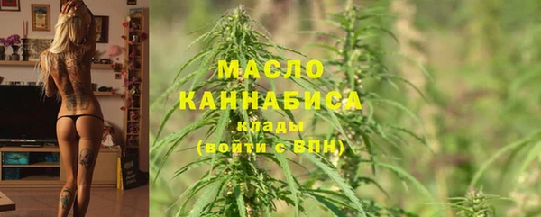 ешки Бородино