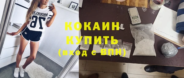 индика Верхний Тагил