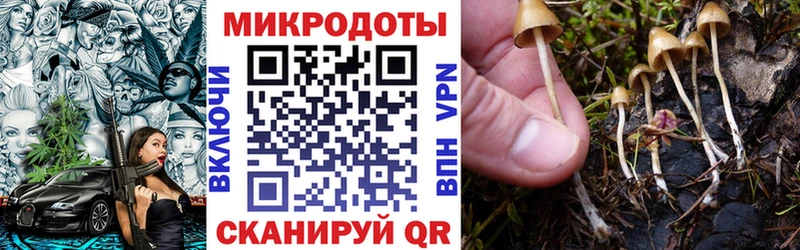 Псилоцибиновые грибы Magic Shrooms  дарнет шоп  Нижний Тагил 