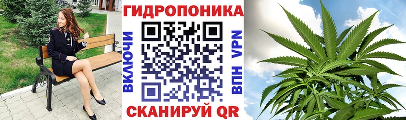Шишки марихуана конопля дарнет шоп Нижний Тагил